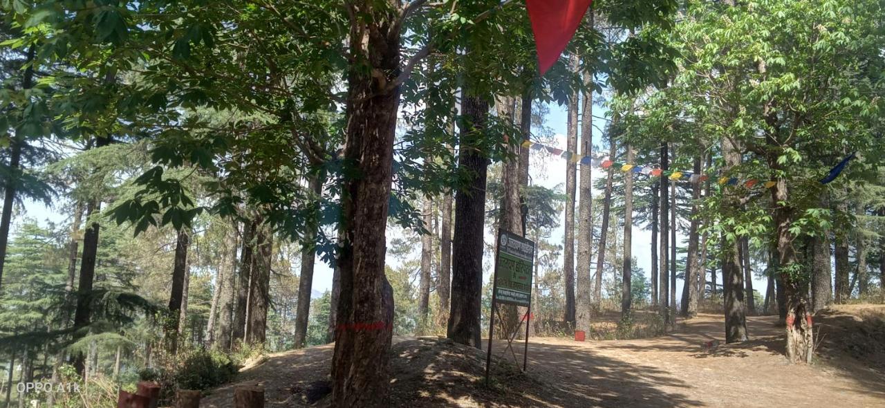 Evergreen Home Stay Almora Dış mekan fotoğraf