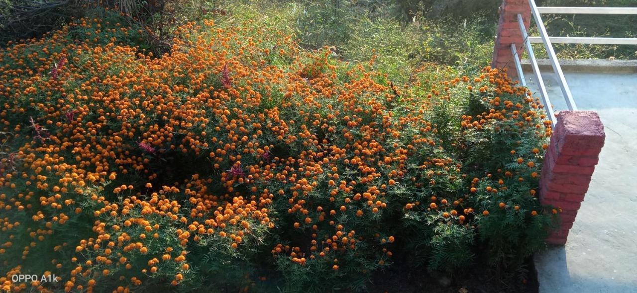 Evergreen Home Stay Almora Dış mekan fotoğraf
